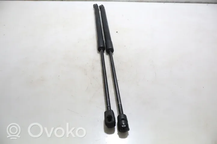 Seat Leon (5F) Tailgate hydraulic set 