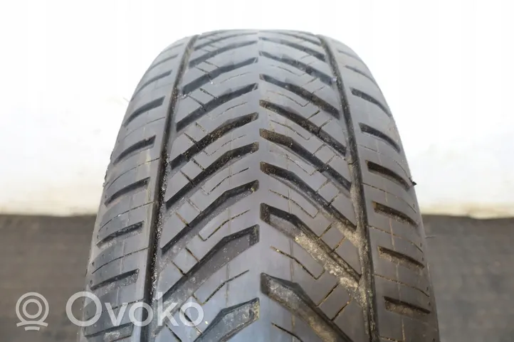 Fiat Panda II R14 summer tire 