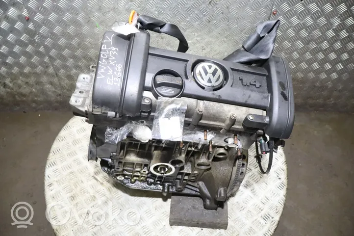 Volkswagen Golf V Motore BUD
