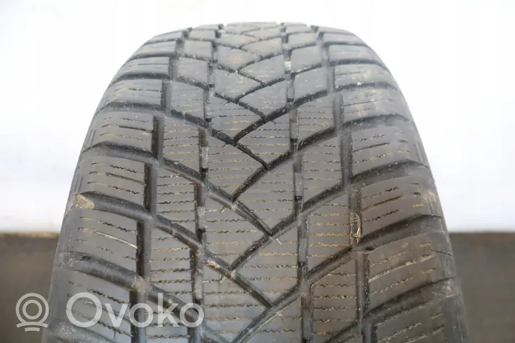 Volkswagen PASSAT B5 R16 winter tire 