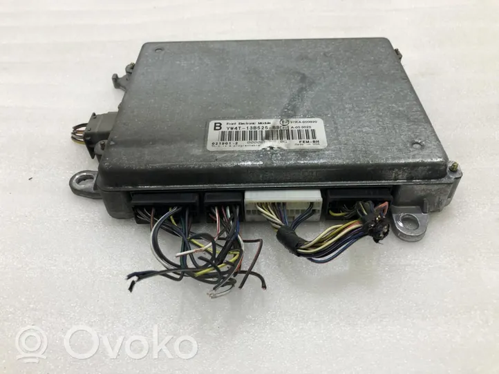 Jaguar S-Type Unité de commande, module ECU de moteur YW4T-13B525-BB