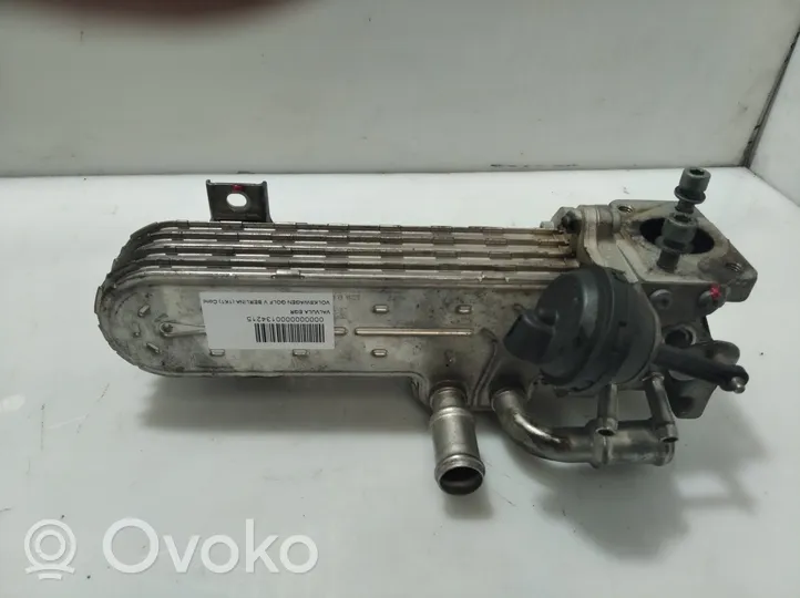 Volkswagen Golf V Valvola EGR 03G131063F