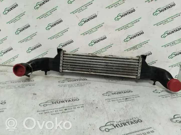 Mercedes-Benz CLK A208 C208 Chłodnica powietrza doładowującego / Intercooler A2025001100