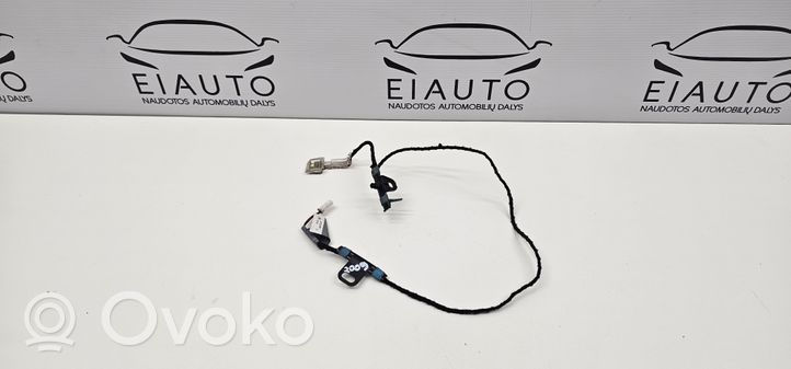 BMW X5 E70 Luce maniglia portiera anteriore (esterno) 7184659