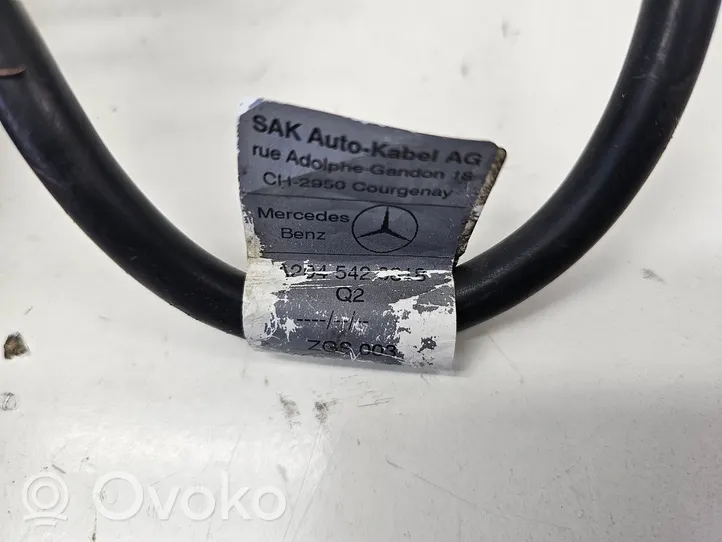 Mercedes-Benz E W212 Negative earth cable (battery) A2045420818