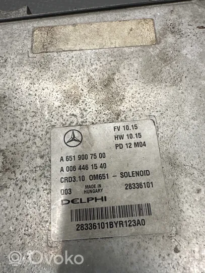 Mercedes-Benz E W212 Sterownik / Moduł ECU A6519007500