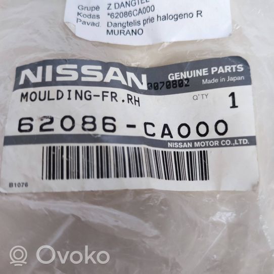 Nissan Murano Z50 Etupuskurin alempi jäähdytinsäleikkö 62086CA000