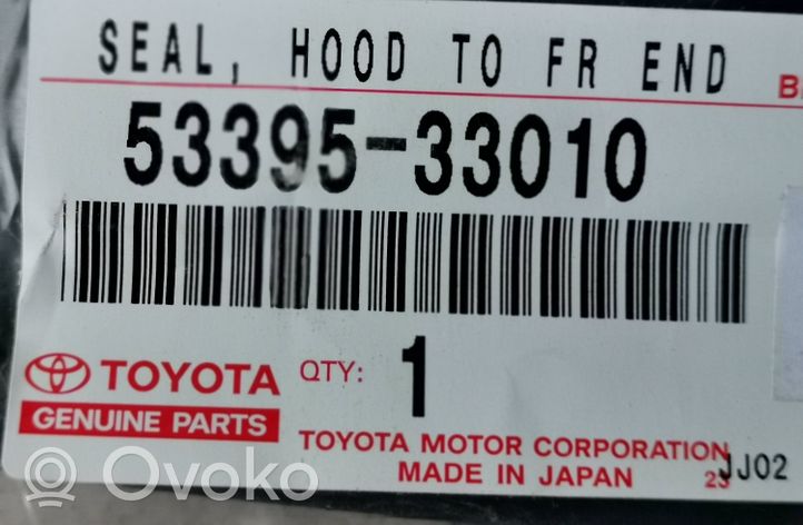 Toyota Camry Autres pièces de carrosserie 5339533010