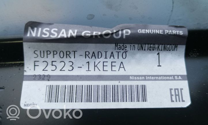 Nissan Juke I F15 Sivujäähdyttimen tuen suojapaneeli F25231KEEA