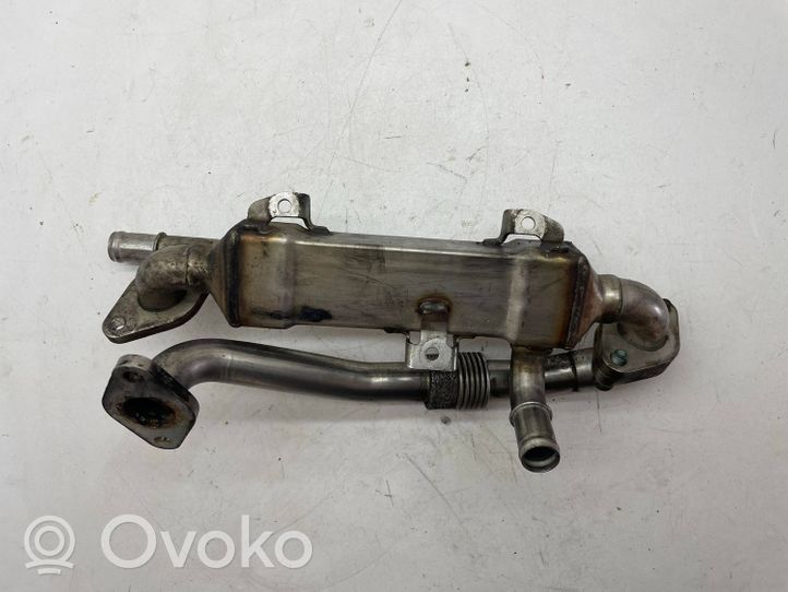 Volkswagen Sharan Chłodnica spalin EGR 038131513l