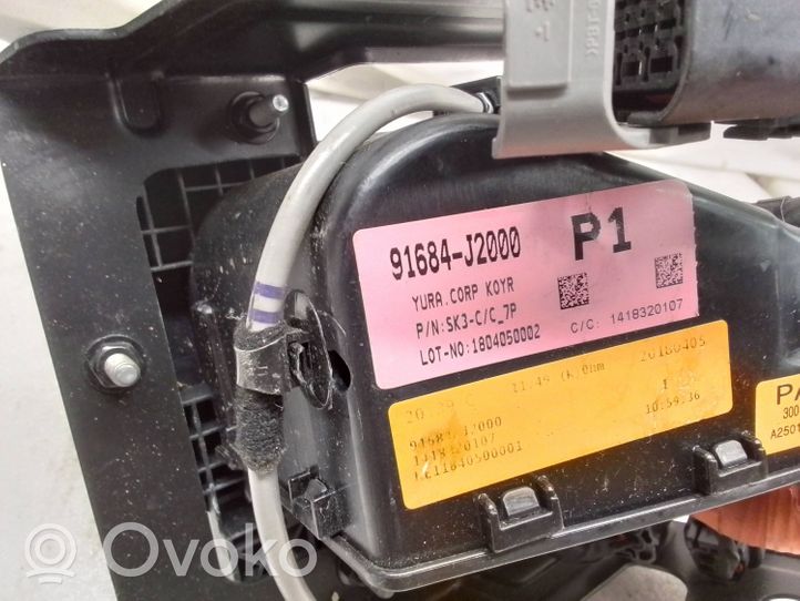 KIA Soul Cavo di ricarica per auto elettriche 91684J2000