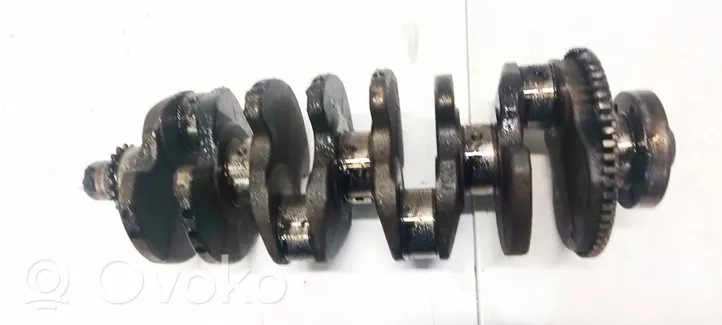 Volkswagen PASSAT B5.5 Crankshaft 038105189B