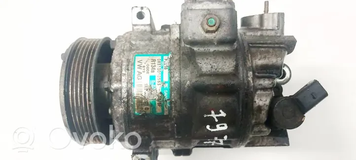 Volkswagen PASSAT B6 Compressore aria condizionata (A/C) (pompa) 1K0820803S