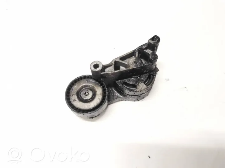 Volkswagen PASSAT B6 Generator/alternator belt tensioner 