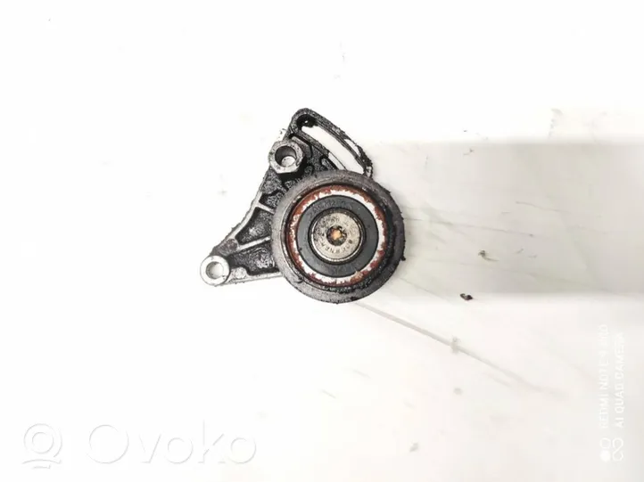 Peugeot 607 Napinacz paska alternatora f230875