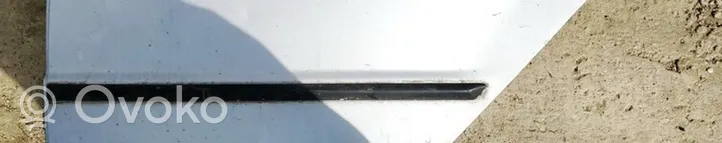 Skoda Fabia Mk1 (6Y) Portiera posteriore sidabrines