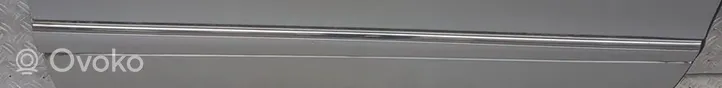 Mercedes-Benz S W220 Front door trim (molding) 