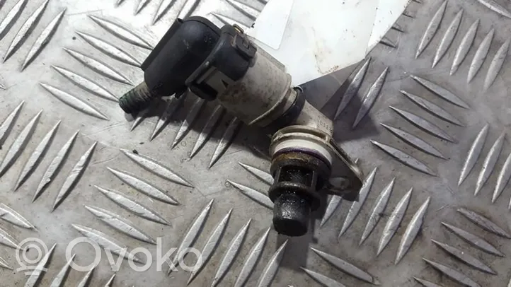 Fiat Doblo Camshaft position sensor 55201874