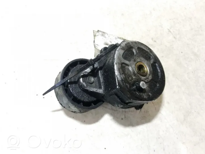 Fiat Ducato Generator/alternator belt tensioner 