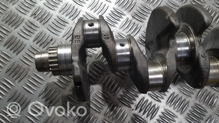 Volkswagen Golf VI Crankshaft 