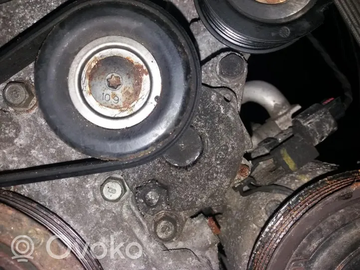 Hyundai i30 Napinacz paska alternatora 252812A100