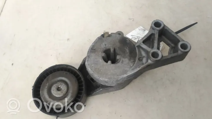 Volkswagen Golf VI Napinacz paska alternatora 06A903315F