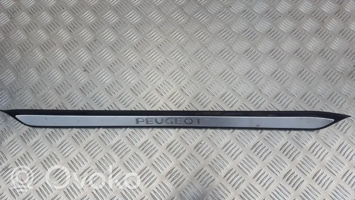 Peugeot 607 Garniture marche-pieds avant 9629149677