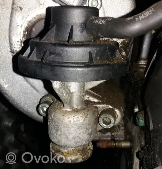 Volkswagen Golf V Valvola EGR 038131501AH