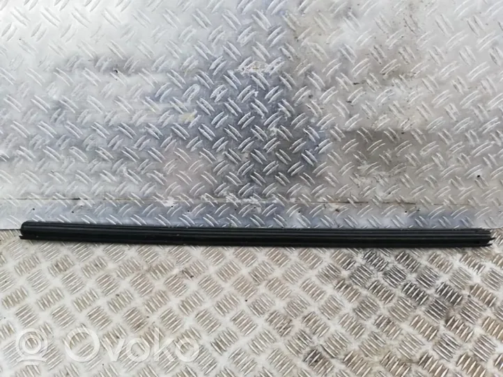 Toyota Avensis T250 Front door glass trim molding 