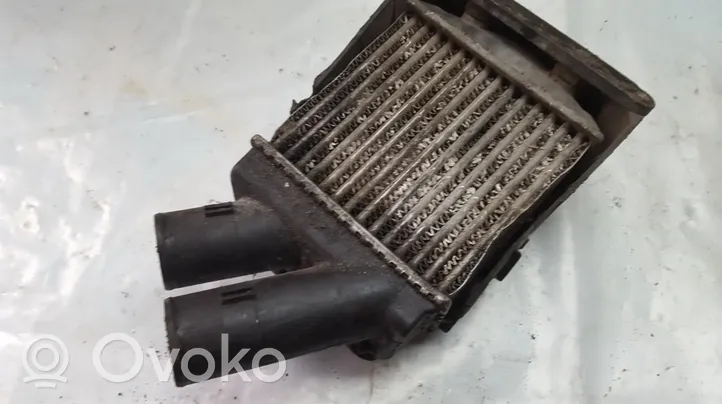 Renault Megane I Intercooler radiator 