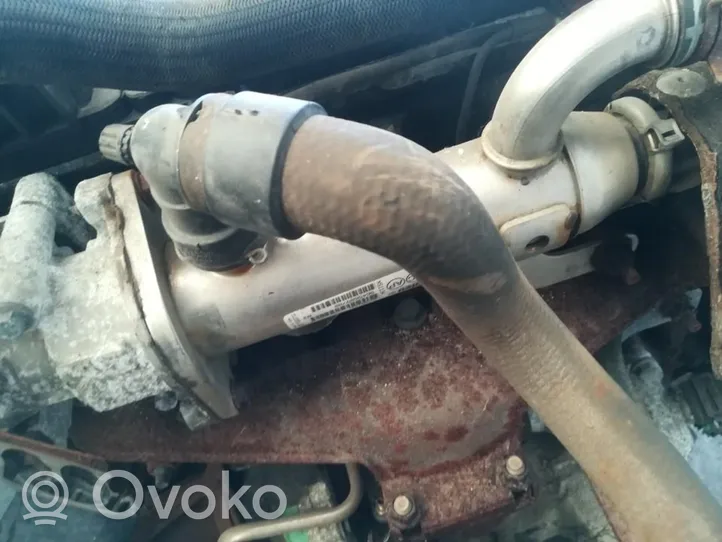 Citroen C5 Chłodnica spalin EGR 9645689780