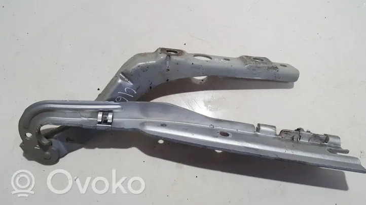 Peugeot 407 Charnière, capot moteur 9640968780