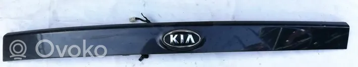 KIA Carens II Éclairage de plaque d'immatriculation 873111d000