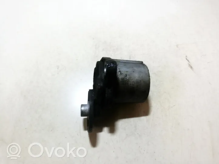 Hyundai Santa Fe Generator/alternator belt tensioner 