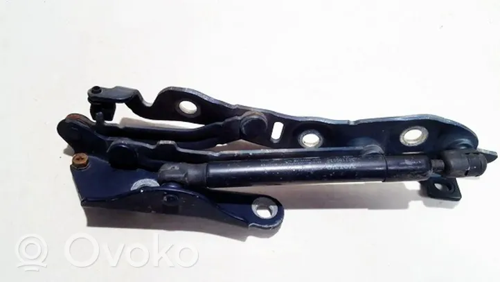 Volvo S60 Cerniera portellone posteriore/bagagliaio 30716057