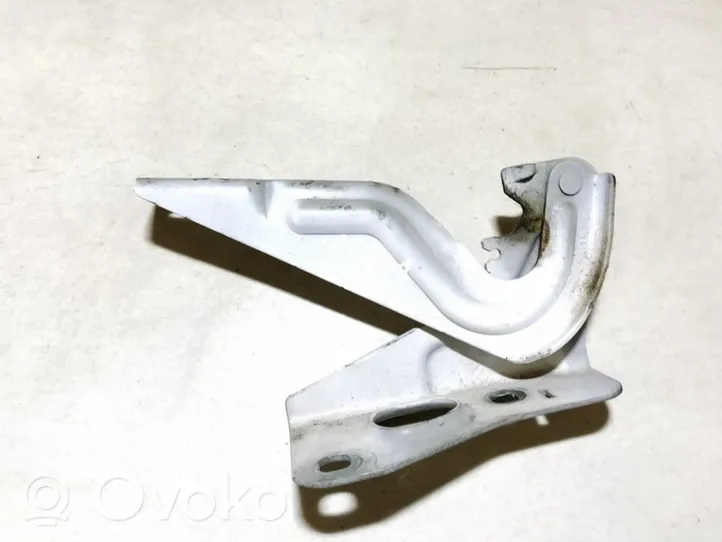 Seat Ibiza IV (6J,6P) Engine bonnet/hood hinges 6j0823301a