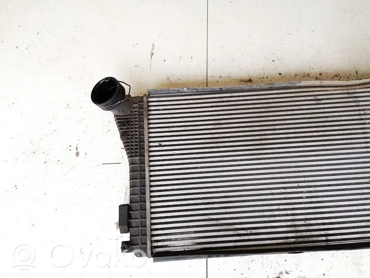 Skoda Octavia Mk2 (1Z) Chłodnica powietrza doładowującego / Intercooler 1k0145803bb