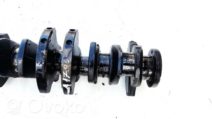 Renault Megane I Crankshaft 