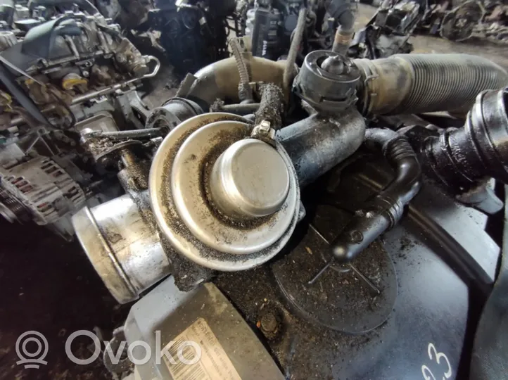 Volkswagen Bora Valvola EGR 038131501e