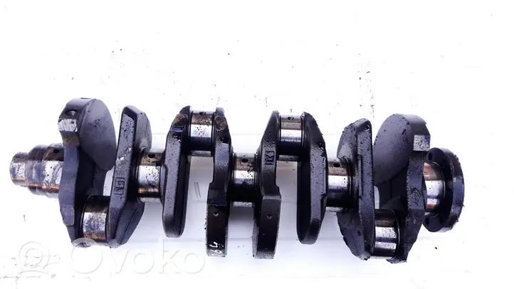 Renault Express Crankshaft 