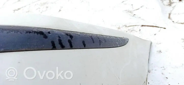 Ford Focus Rear bumper trim bar molding 