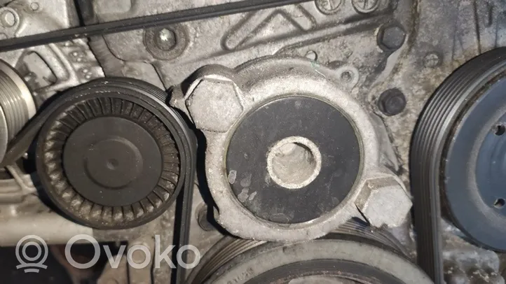 Toyota Verso Napinacz paska alternatora 166200R010