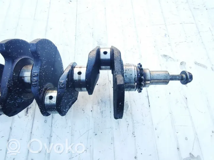 Renault Scenic I Crankshaft 