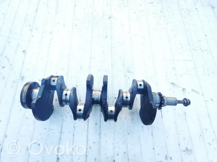 Renault Scenic I Crankshaft 