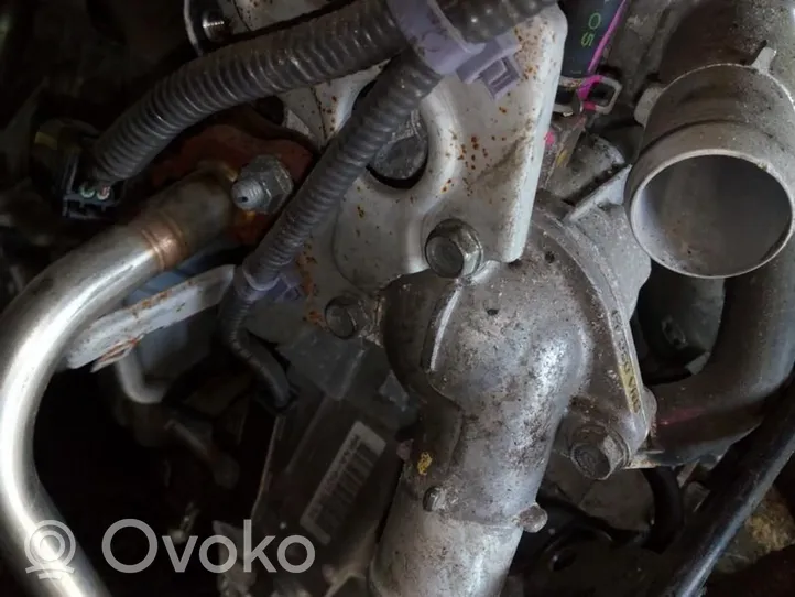Honda CR-V Przewód / Wąż chłodnicy 