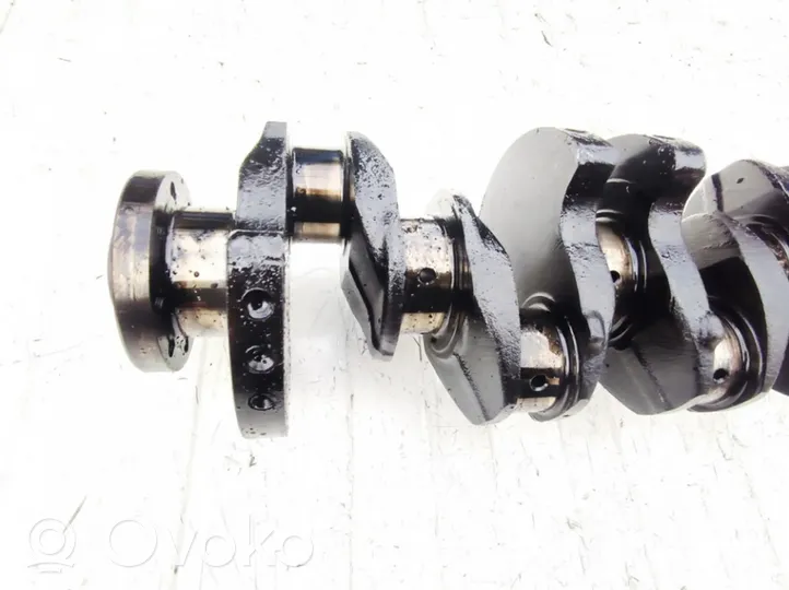 Peugeot 605 Crankshaft 