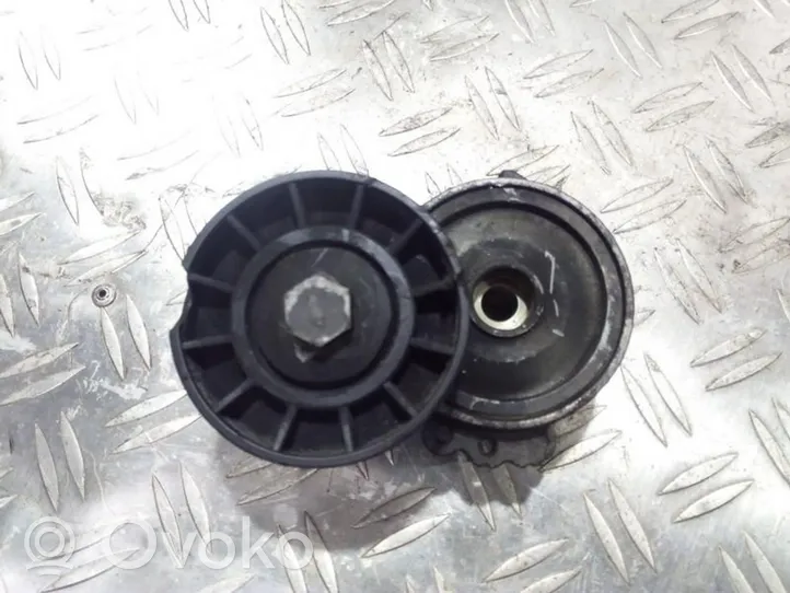 Citroen C5 Napinacz paska alternatora 