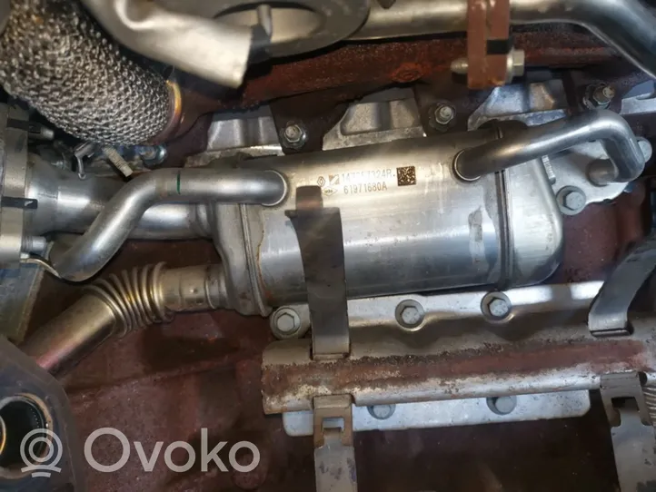 Nissan Qashqai EGR-venttiili/lauhdutin 147357324r