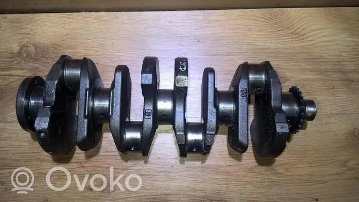 Renault Scenic I Crankshaft 