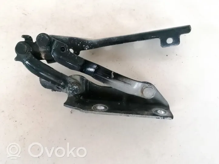 Volkswagen Golf VI Engine bonnet/hood hinges 5k0823302b